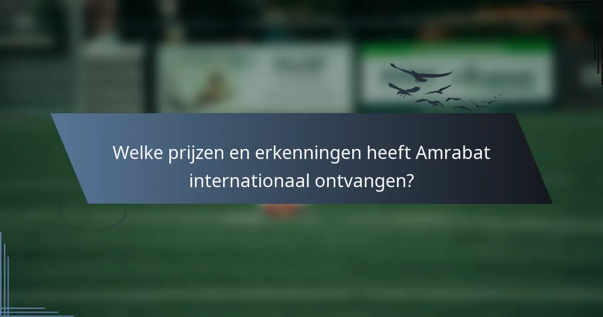 Welke prijzen en erkenningen heeft Amrabat internationaal ontvangen?